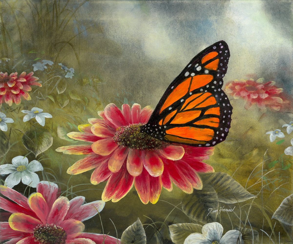 Garden Visitor - Monarch Butterfly Original Oil – Jim Hansel Editions, LLC.