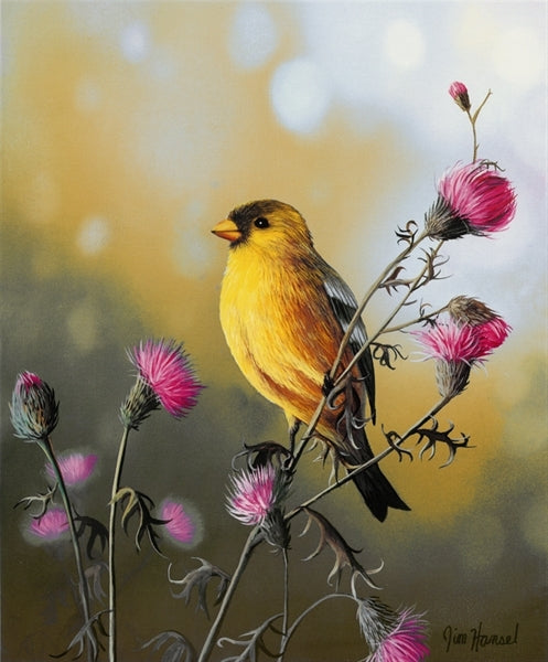 American store goldfinch bird painting