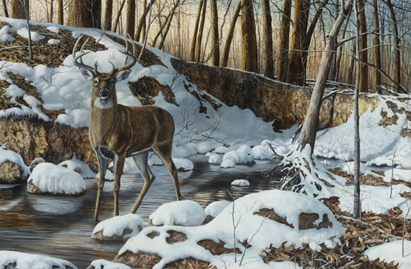 famous whitetail deer paintings